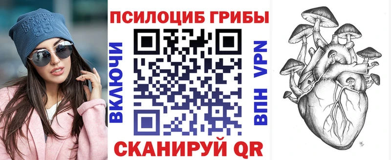 Галлюциногенные грибы Psilocybe  даркнет сайт  гидра зеркало  Пролетарск 
